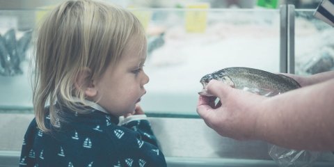 Can Toddlers Eat Salmon? What's The Catch? °°º º°° | $DECORATOR_TITLE