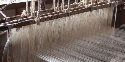 Cotton being woven