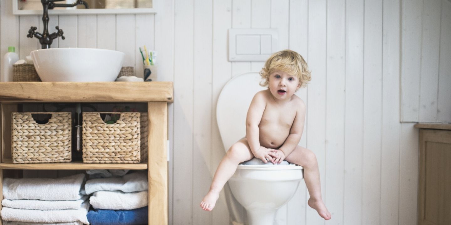 Are you thinking about toilet training your toddler ?