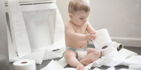 Are you thinking about toilet training your toddler ?