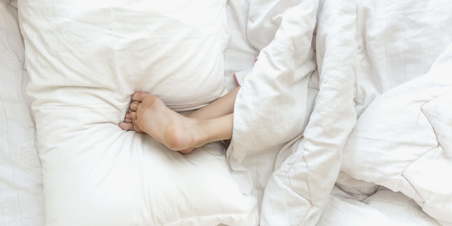 What Do Polyester Sheets Feel Like °°º º°° DECORATOR_TITLE