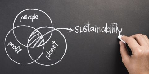 What Does Sustainability Mean -  Header Image
