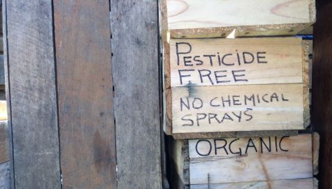What is GOTS (Global Organic Textile Standard)
