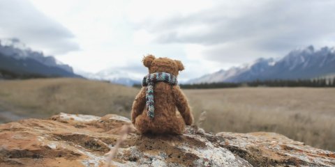 8 ideas for what to do with old stuffed animals? - Header Image