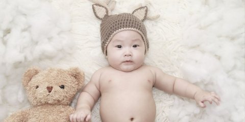 Where does cotton come from? - Header Image